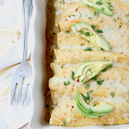 Chicken Enchiladas - Recipe photo by Whitney Bond