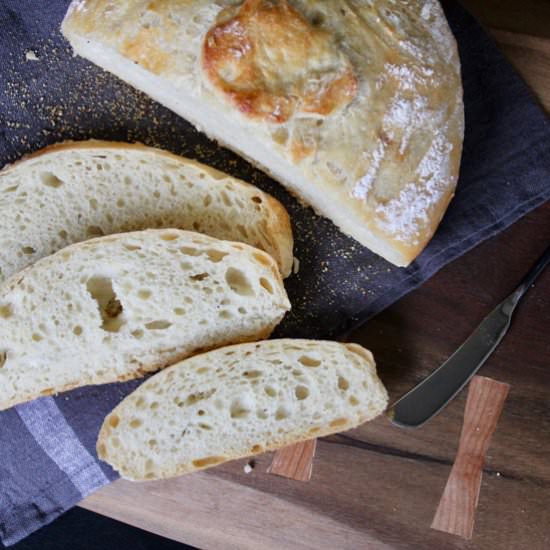 No-Knead Crusty White Bread - Recipe photo by Runcible Eats