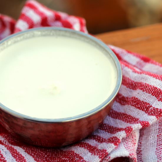 Sour Cream in the Instant Pot - Recipe photo by Spice Chronicles
