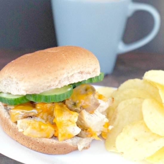 Chicken Breast Burger - Recipe photo by Food Meanderings