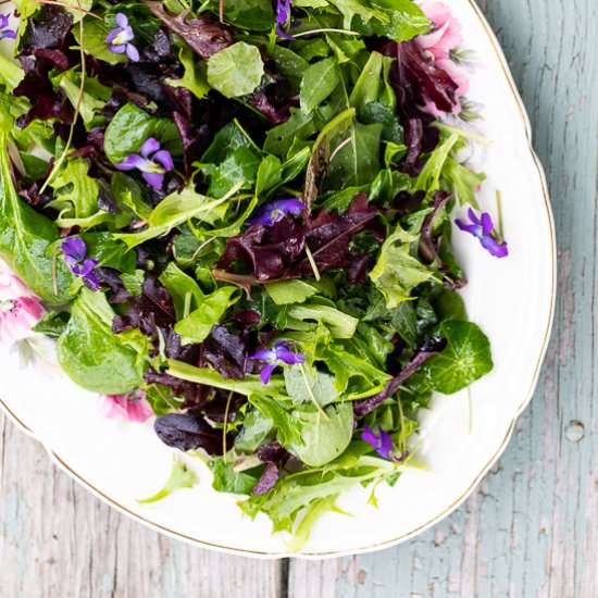 Herb Salad - Recipe photo by sidewalkshoes