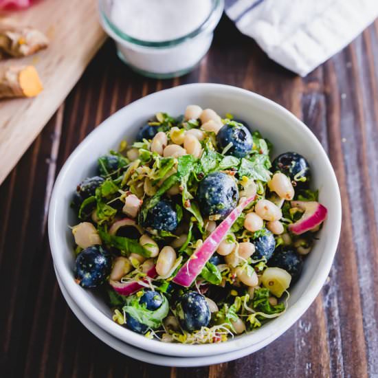 Blueberry White Bean Salad - Recipe photo by Running to the Kitchen