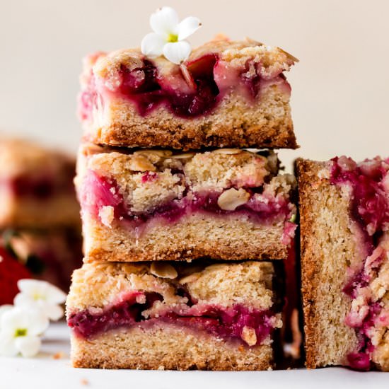 Strawberry Rhubarb Crumb Bars - Recipe photo by sallysbakingaddiction