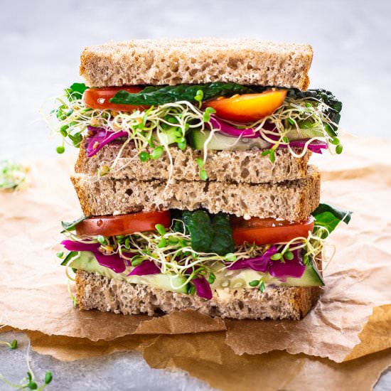 How to Grow Alfalfa Sprouts at Home - Recipe photo by vancouverwithlove