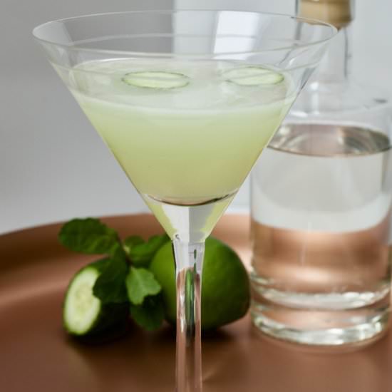 The Minty Cuke Gimlet Gin Cocktail - Recipe photo by firstordergin
