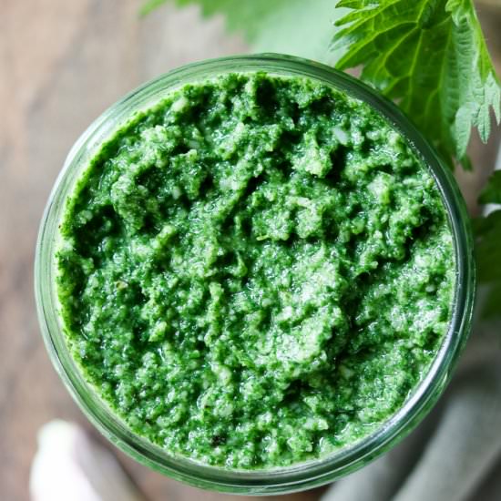 Nettle Pesto - Recipe photo by LifesLittleSweets