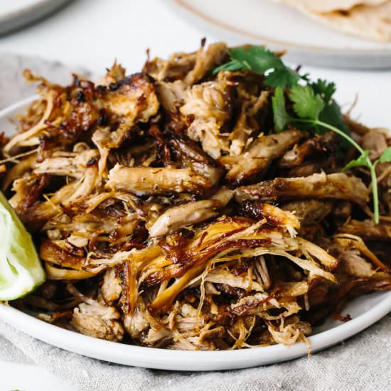 Carnitas - Recipe photo by Downshiftology