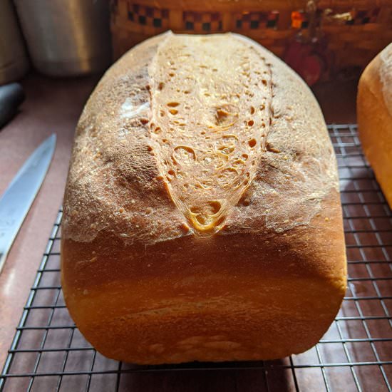 Bread Baking 101 - Recipe photo by theimperfectfoodie