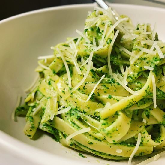 Pasta with Spinach Cream Cheese Sauce - Recipe photo by Quisine Queen B