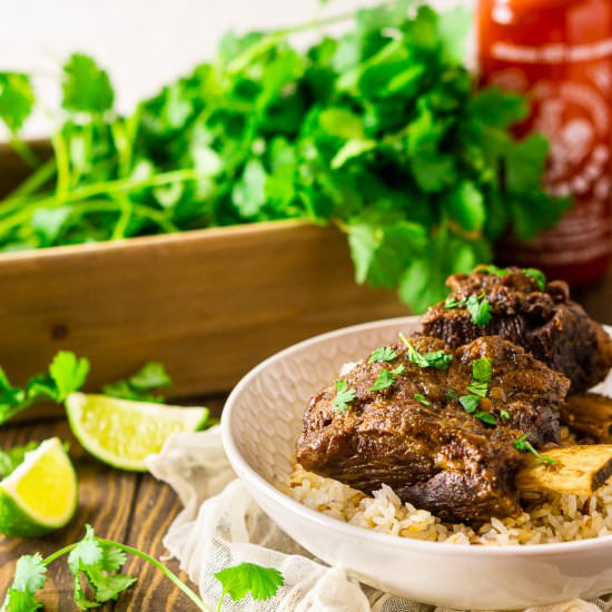 Braised Sriracha Short Ribs - Recipe photo by Burrata and Bubbles