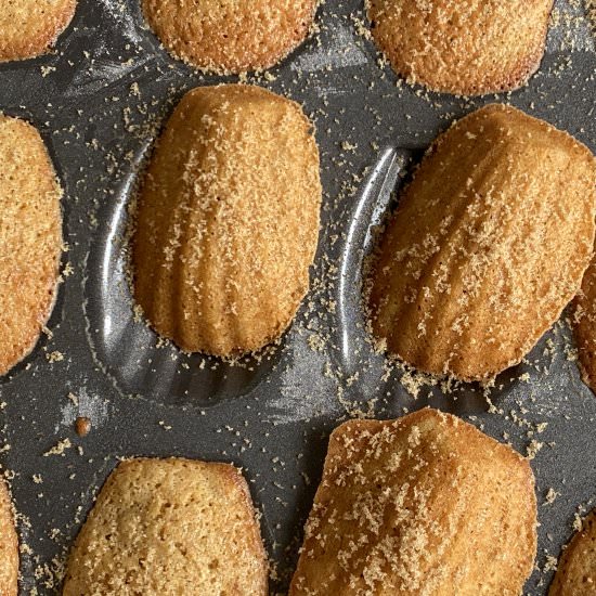 Classic French Madeleines - Recipe photo by TraditionaHomeBaking