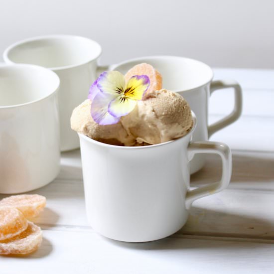Gingerbread Ice Cream - Recipe photo by the good eats co