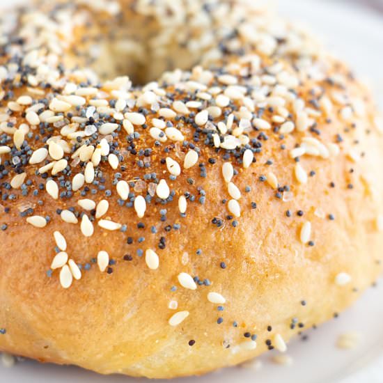 Homemade Vegan Bagel - Recipe photo by plant.well