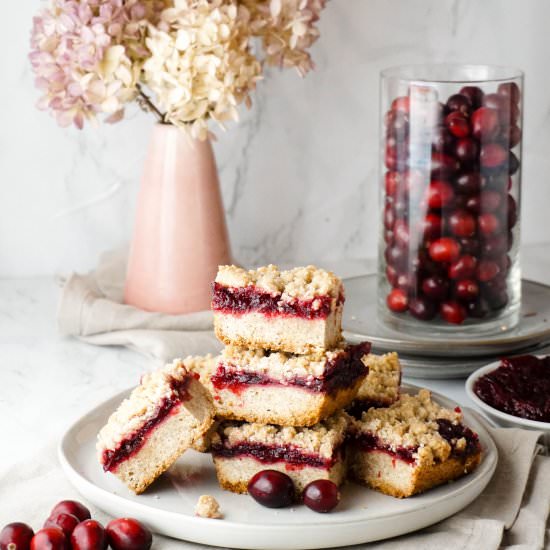 Cranberry Crumble Bars - Recipe photo by Hungry Haley