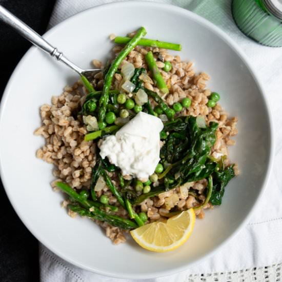 Farro, Burrata and Green Veggies - Recipe photo by josieandnina