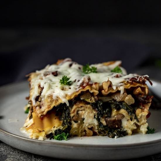 Easy Vegetarian Lasagna - Recipe photo by Went Here 8 This