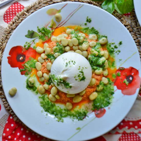 Broad Bean Burrata Salad - Recipe photo by Mummys FastandEasy