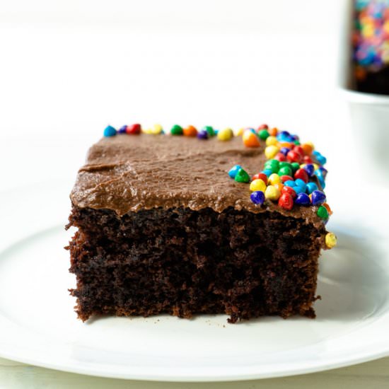Mexican Chocolate Sheet Cake - Recipe photo by TheDeliciousSpoon