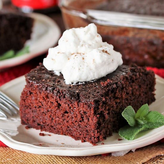 Chocolate Wacky Cake - Recipe photo by thekitchenismyplayground