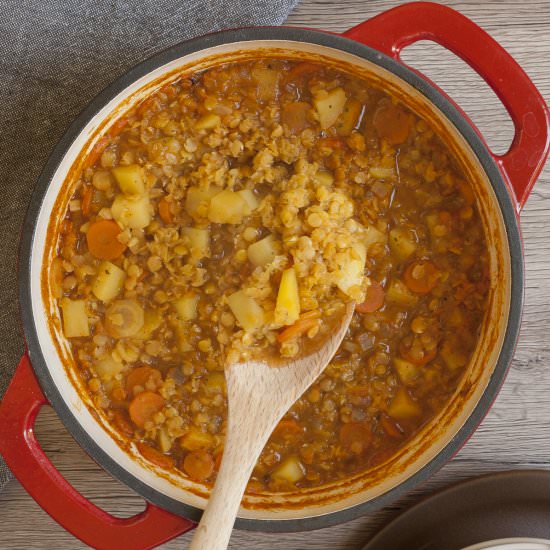 Vegan Red Lentil Soup - Recipe photo by MyPurePlants