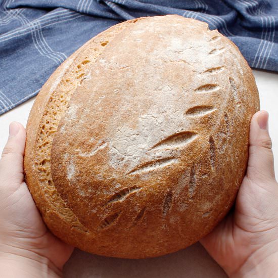 Wild Yeast Bread (GF/V) - Recipe photo by fresh is real