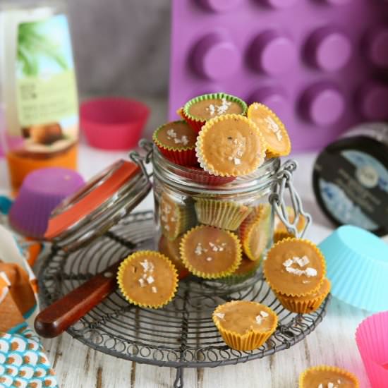DF, GF Peanut Butter Tahini Fudge - Recipe photo by angiesrecipes