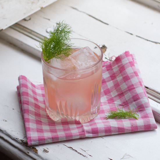 Rhubarb Fennel Vermouth Cocktail - Recipe photo by zuckerbaeckerin