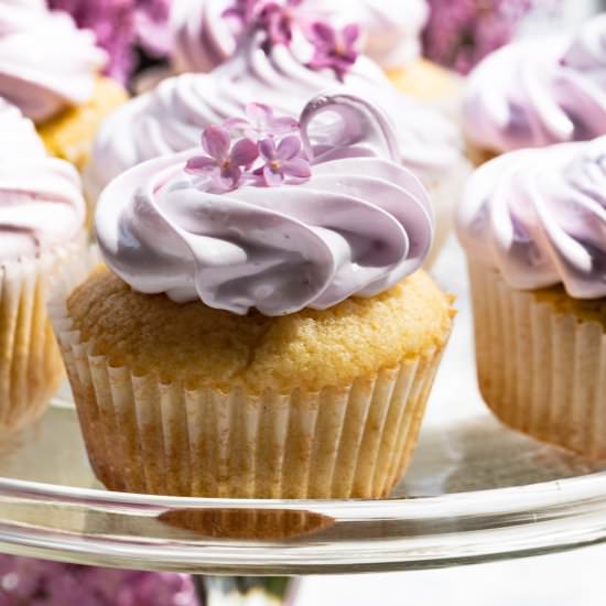 Lilac and Lemon Cupcakes - Recipe photo by lilcupcakemonkey