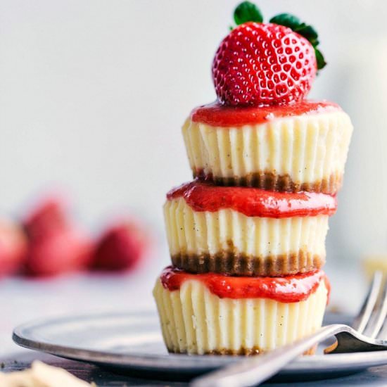 Mini Cheesecakes - Recipe photo by Chelsea Lords