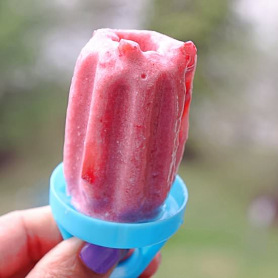 Strawberry Coconut Milk Popsicle - Recipe photo by sandhiya