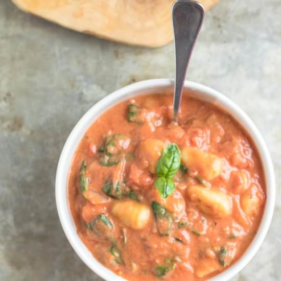 Gnocchi Soup - Recipe photo by infinebalance