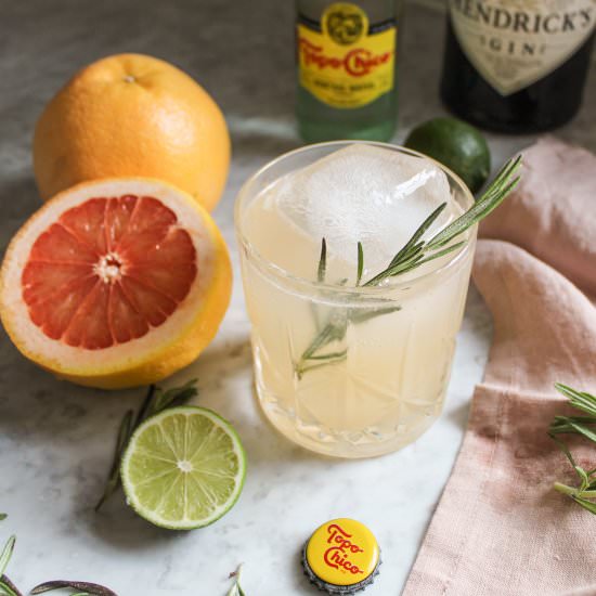 Grapefruit Gin Fizz - Recipe photo by MidwestSoutherner