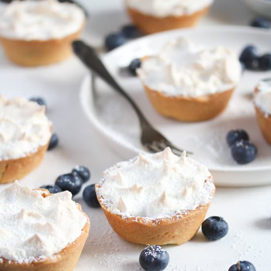 Mini Blueberry Tarts - Recipe photo by adinutza
