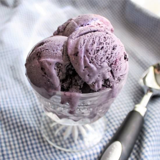 Blueberry Swirl Gelato - Recipe photo by MyRecipeReviews