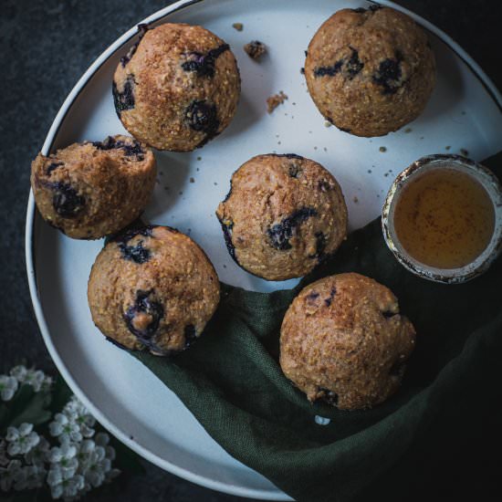 Blueberry Sourdough Muffins - Recipe photo by melissa sampedro