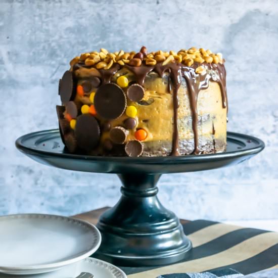Peanut Butter Mousse and Cake - Recipe photo by josieandnina