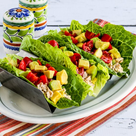 Tuna Salad Lettuce Wraps - Recipe photo by kalynskitchen