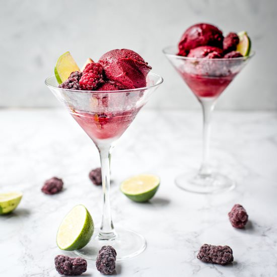 Blackberry Lime Sorbet - Recipe photo by RNsKitchen