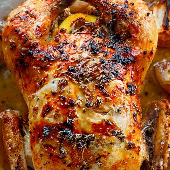 Lemon Garlic Roast Chicken - Recipe photo by Chefjar