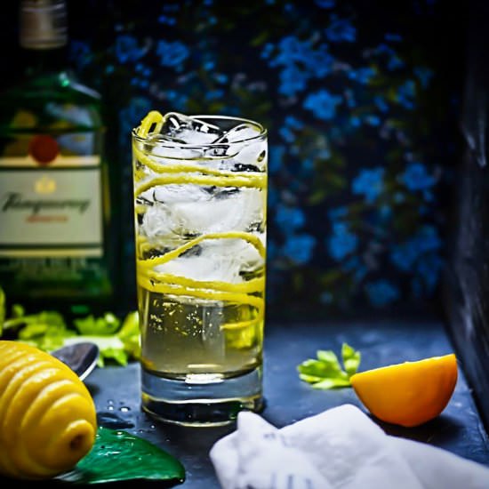 Celery Gin Rickey - Recipe photo by Lila Ruth Grain Free