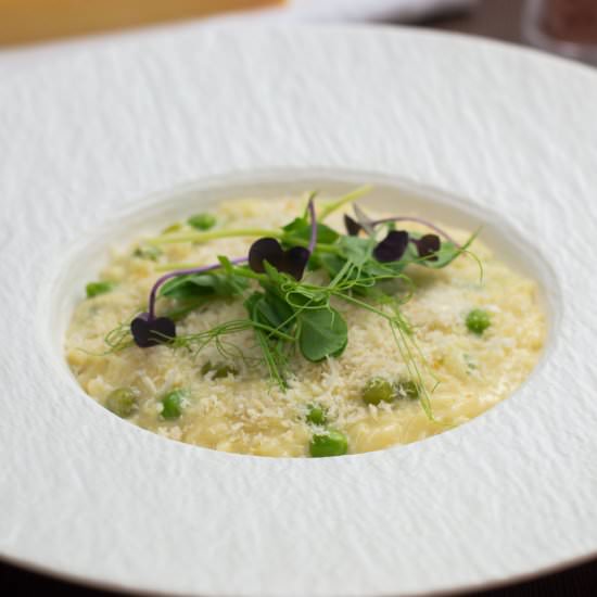 Truffle Oil Pasta - Recipe photo by JackSlobodian