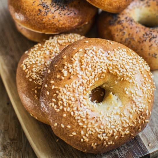 New York-Style Sourdough Bagels - Recipe photo by Home Grown Happiness