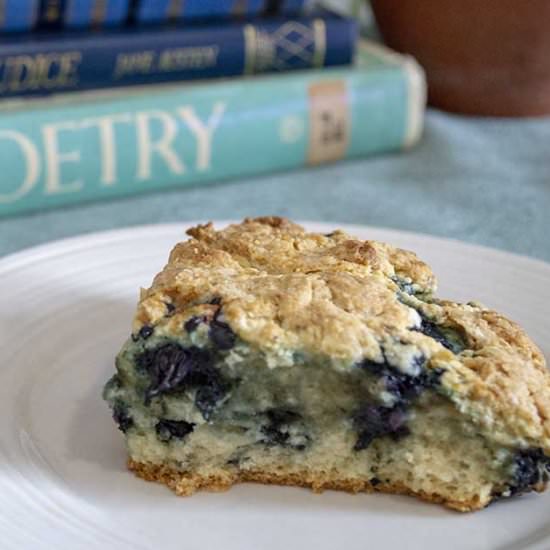 Personal Sized Blueberry Scones - Recipe photo by Vegan Daydream