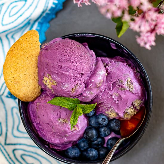Best Blueberry Frozen Yogurt - Recipe photo by a zest for life