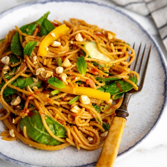 Thai Peanut Noodle Salad (Vegan) - Recipe photo by FromScratchFast