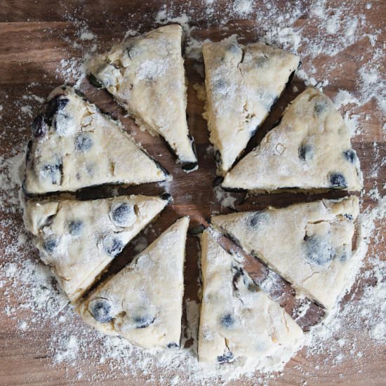 Blueberry Lavender Scones - Recipe photo by thesundaybaker