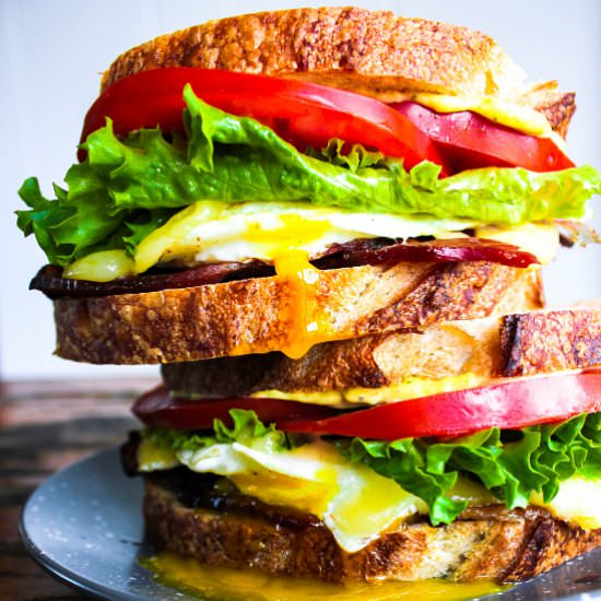 Bacon, Egg, & Cheese Sandwich - Recipe photo by taoofspice