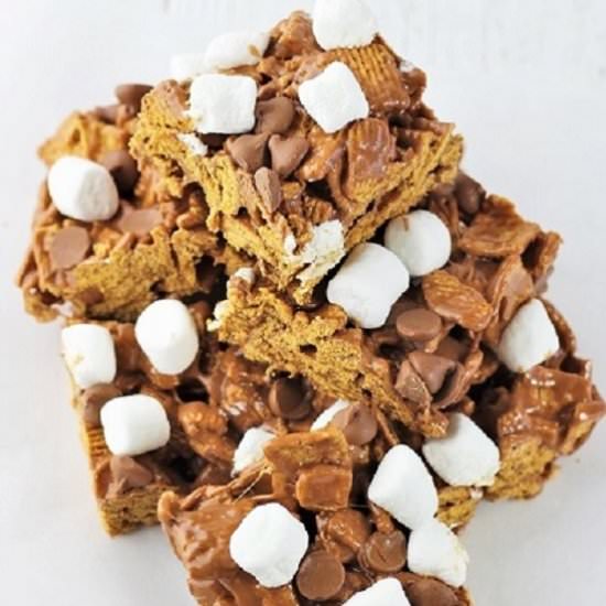 no-bake s'mores treats - Recipe photo by nowcookthis
