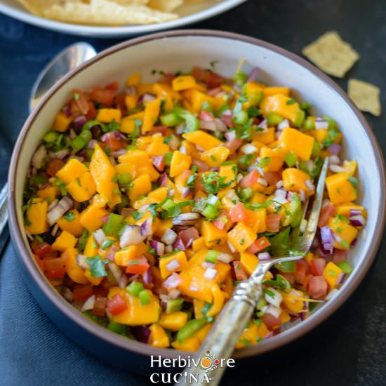Mango Salsa (Pico De Gallo) - Recipe photo by Herbivore Cucina