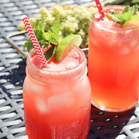 Watermelon Mojito Mocktail - Recipe photo by JensJourney
